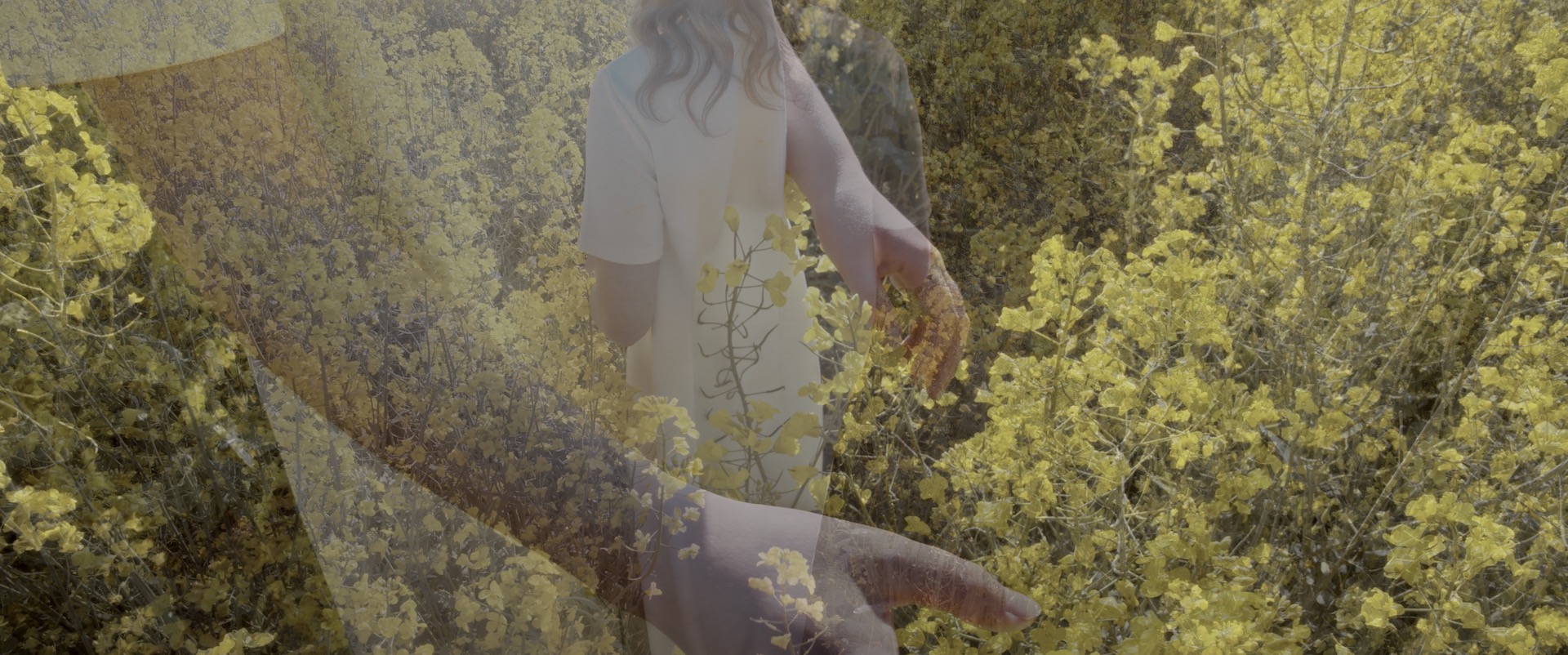 Still from Ich male dir meine Welt