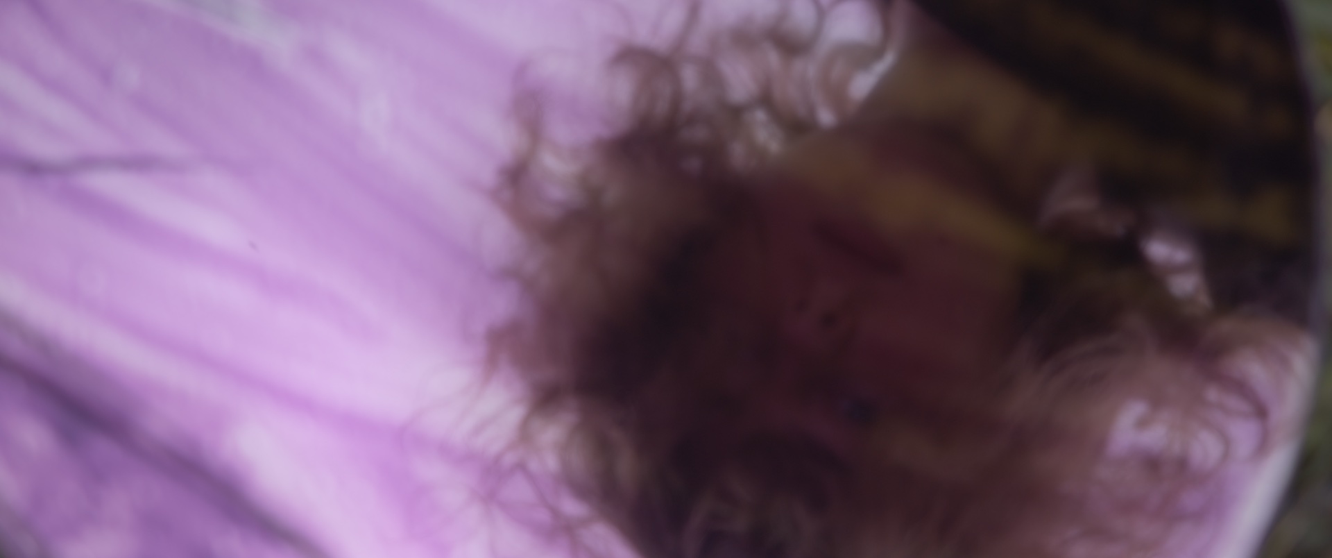 Still from Ich male dir meine Welt